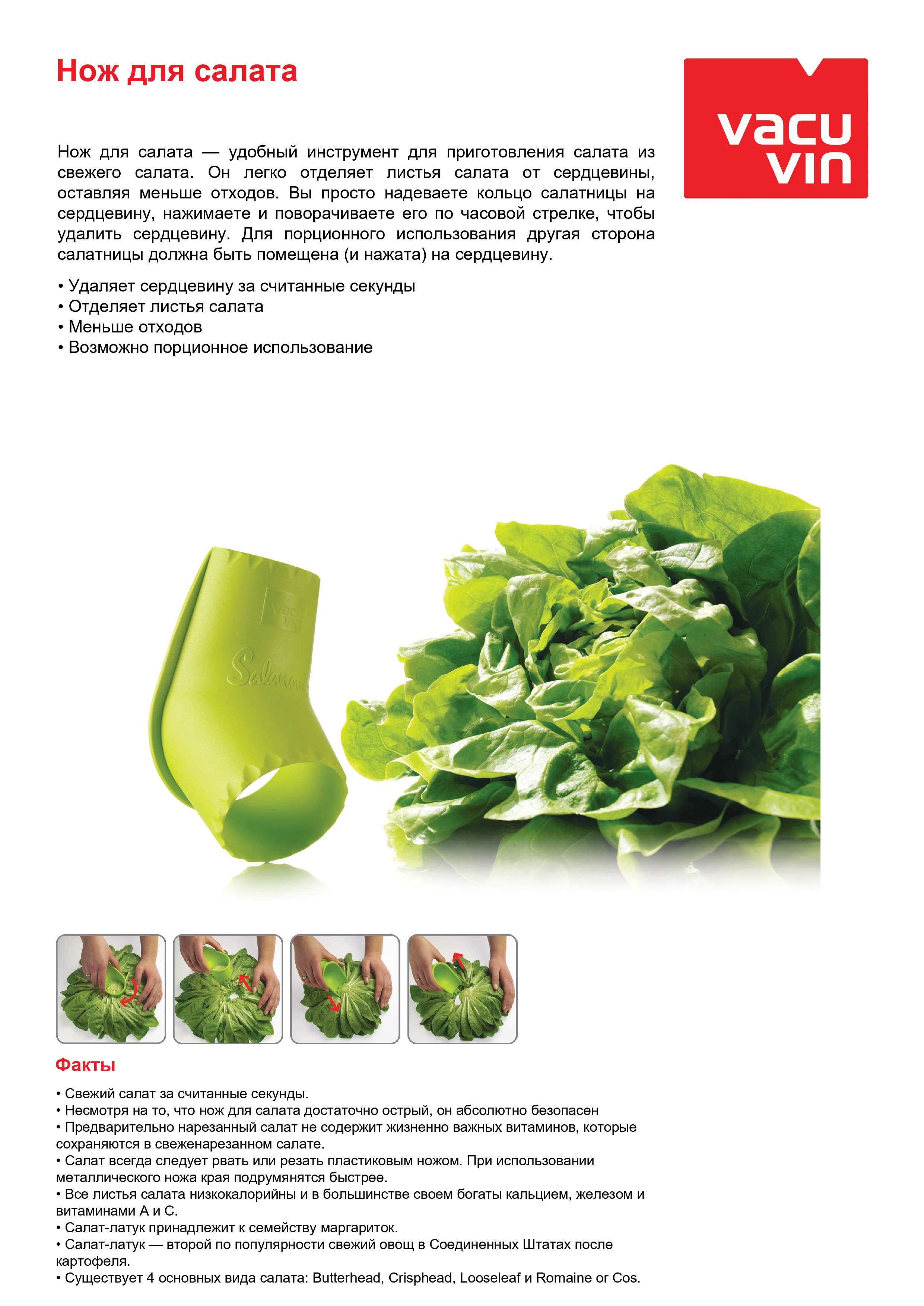 Устройство для разрезания салата, 4754660